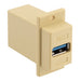 ECF504-3AB-IVY
