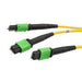 MPM24212SMZ-CA-1
