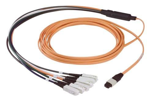 Cable mpo-male-sc-6-fiber-ribbon-fanout-625-multimode-with-ofnr-jacket-50m