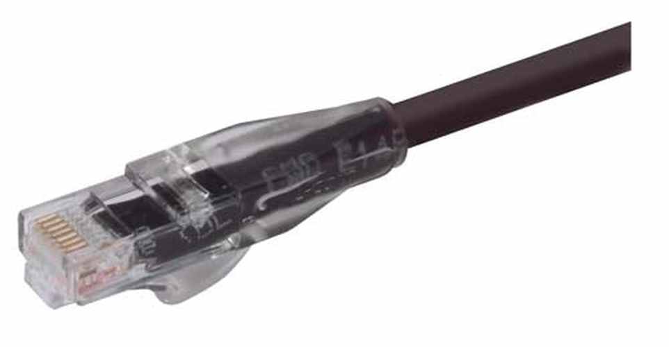 Premium Cat 6 Cable RJ45 / RJ45 Black 3.0 ft