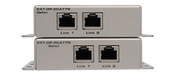 EXT-DP-2CAT7 - Extender